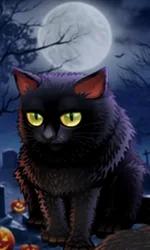 Spooky Halloween