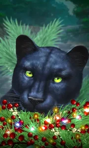 Blue Panther -CE